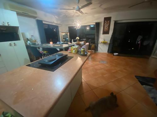 uma vista aérea de uma cozinha com um gato no chão em Cairns Homestay em White Rock