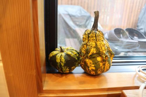 two pumpkins sitting on a window sill at サウナバーベキュージャグジー完全貸し切りという贅沢大人の秘密基地#01 in Miyota
