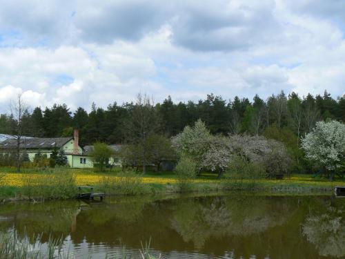 Φωτογραφία από το άλμπουμ του Staszkowa Zagroda nad Rospudą σε Jabłońskie