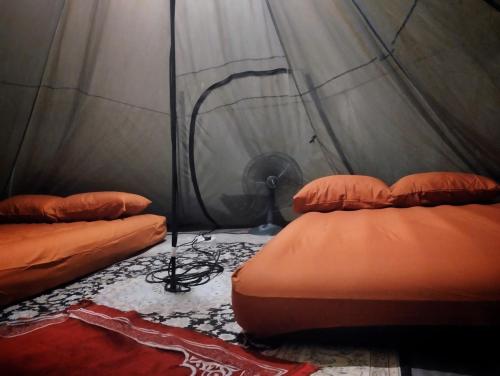 a room with two beds in a tent at AWANAZ FARM GLAMPING in Jitra