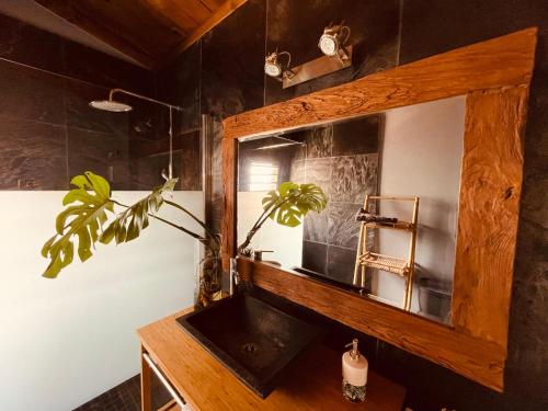 La salle de bains est pourvue d'un lavabo en bois et d'un miroir. dans l'établissement La flibuste entre lagon & volcan, à Saint-Pierre