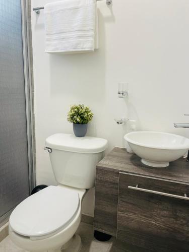 łazienka z toaletą i umywalką w obiekcie InDomus Rooms w mieście Bacurimi