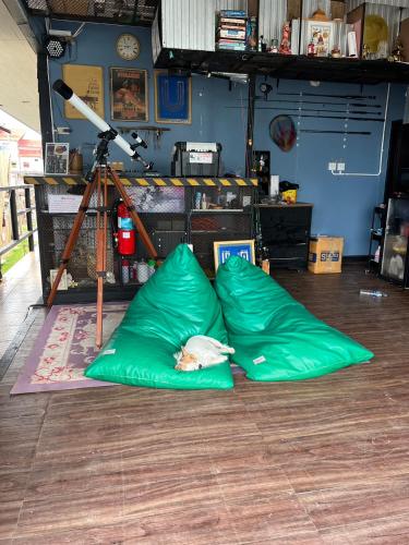 Fotografie z fotogalerie ubytování U Hostel Koh Phangan v destinaci Haad Rin