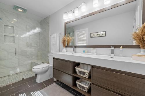 W łazience znajduje się umywalka, toaleta i prysznic. w obiekcie King Bed-Fireplace-15 min to DT-220 EVPlug w mieście Asheville