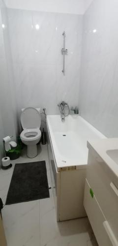 a white bathroom with a toilet and a sink at Studio Cozy Grant in Bucharest