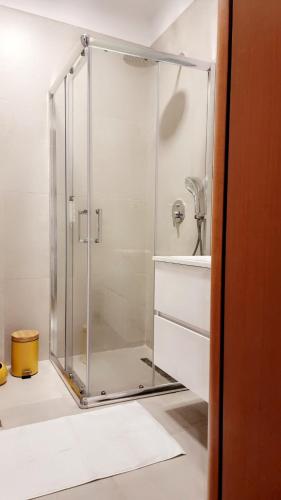 une douche avec une porte en verre dans une salle de bain dans l'établissement Mina Apartment, à Tirana