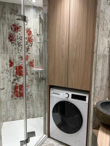 een wasmachine in een badkamer met een douche bij Appartement 109 in Sallanches