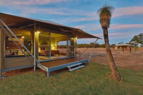 a house with a palm tree in a field at Willow Wood Glamping Retreat in Broadwater