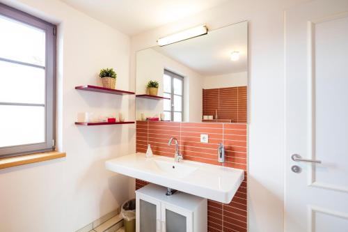 a bathroom with a sink and a mirror at Landgut Mosch in Radeburg