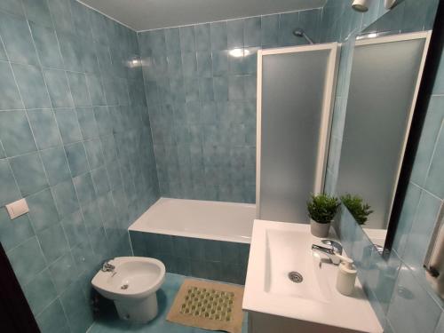 La salle de bains est pourvue d'un lavabo, de toilettes et d'un miroir. dans l'établissement CASA DANIELA APARTAMENTOS-The pilgrim's house apartments, à Estella