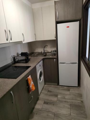 a kitchen with a white refrigerator and a dishwasher at CASA DANIELA APARTAMENTOS-The pilgrim's house apartments in Estella