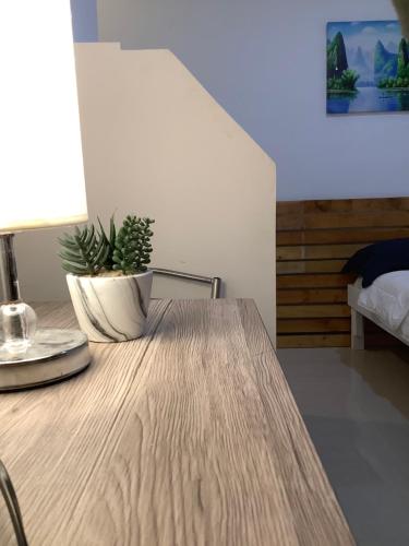 a wooden table with a potted plant on top of it at SEACOAST HOTEL AND RESORTS in Mactan