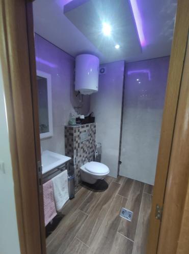 茲拉蒂博爾的住宿－NUMBER ONE ZLATIBOR，紫色浴室设有卫生间和水槽