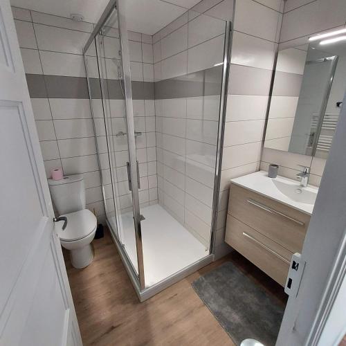 Koupelna v ubytování Superbe appartement F2 refait à neuf plein centre