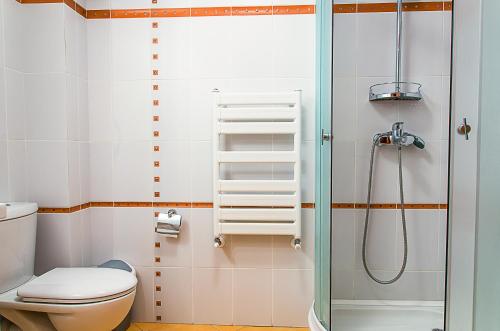 a bathroom with a shower and a toilet at Holiday Vila Predeal in Predeal