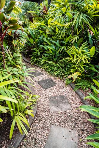 a garden with a stone pathway with plants at Chez Brolga in Port Douglas