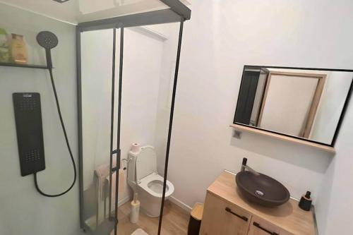 a bathroom with a shower and a toilet in it at Les Appart'Hôtels Du Calaisis - 201 Skully - Hyper centre & Proche plage in Calais
