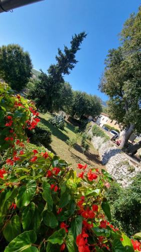 a garden with red flowers in a park at Sobe Biserka i Mario Brseč in Brseč