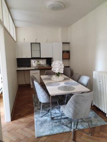 une salle à manger avec une table et des chaises dans l'établissement Appartement spacieux proche du centre ville, à Strasbourg