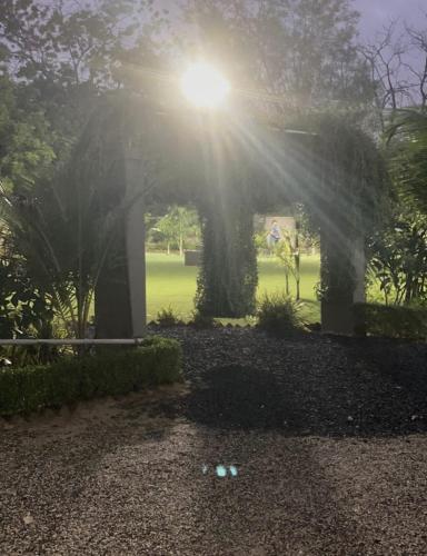 a sunbeam shines through a park with trees at Serene stay in the lap of Nature in Ahmedabad