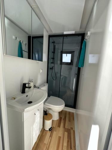 a bathroom with a toilet and a sink and a shower at Hausboot Chalet im See in Bad Saarow