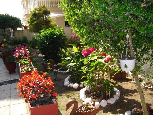 a garden with flowers and plants in a yard at Villa Nikolas in Paralia Katerinis
