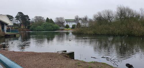a body of water with ducks swimming in it at Ballymena/ Belfast/ Antrim Coast/Galgorm in Ballymena