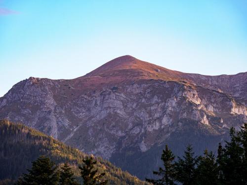 a mountain in the distance with trees in the foreground at Osada Widokowa Kościelisko in Kościelisko