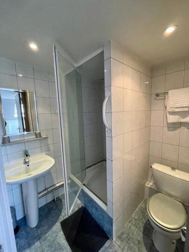 une salle de bain avec une douche, des toilettes et un lavabo dans l'établissement Hotel Restaurant Les Arcades, à Valenciennes