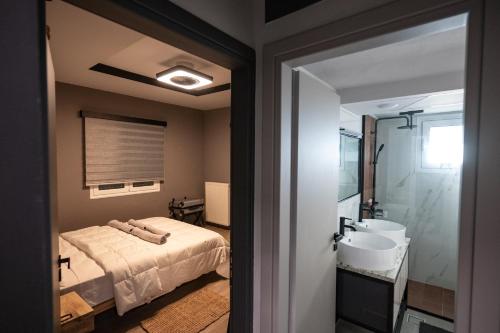 a bedroom with a bed and a sink at Villa Kriton Smart home in Máyiras