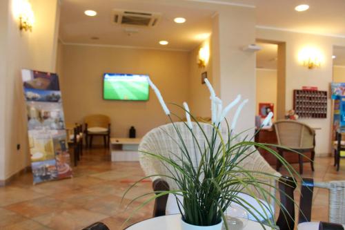 a waiting room with a potted plant and a tv at Hotel Jole in Cesenatico