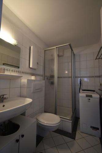 a bathroom with a shower and a toilet and a sink at The Green Hills in Schmallenberg
