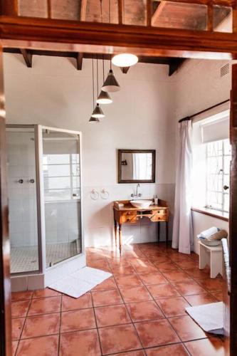 a bathroom with a shower and a sink and a mirror at La Bri Guesthouse in Rawsonville