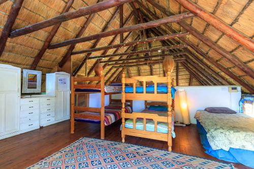 a room with four bunk beds in a attic at In The Green Backpackers in Morganʼs Bay