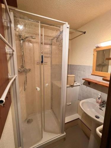 une salle de bain avec douche et lavabo dans l'établissement Superbe studio, Praz-sur-Arly, à Praz-sur-Arly