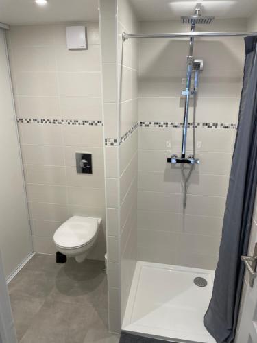 a bathroom with a toilet and a shower at Joli logement au pied des Alpilles in Eyguières