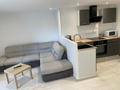 un salon avec un canapé et une cuisine dans l'établissement Joli logement au pied des Alpilles, à Eyguières