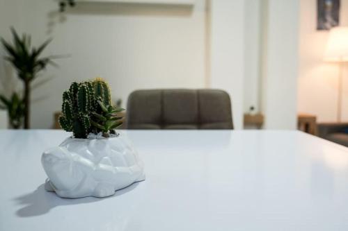 a white vase with a cactus sitting on a table at Guest House Marittima in Frosinone