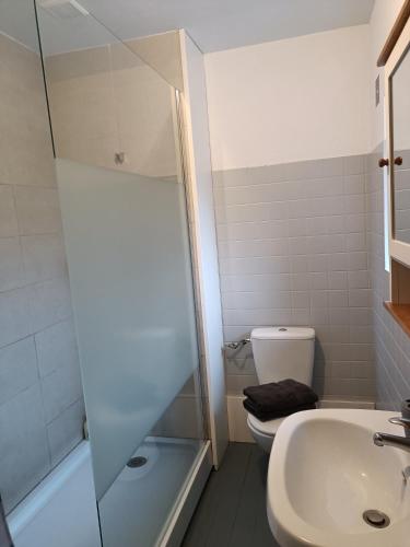 a bathroom with a shower and a toilet and a sink at Ille Flottante, Maison éclusière et hébergements insolites sur le canal in Hédé