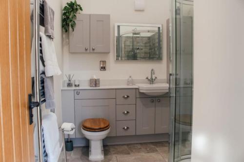 a bathroom with a toilet and a sink and a shower at The Little Dairy in Stourbridge