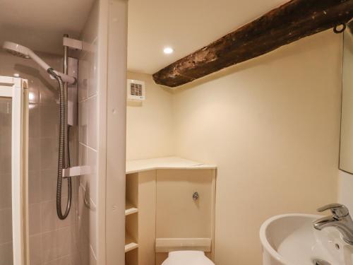 a bathroom with a shower and a toilet and a sink at Flushing House in Rye