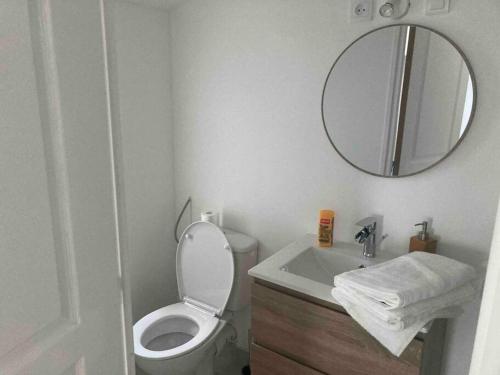 une salle de bain avec toilettes, lavabo et miroir dans l'établissement Maisonnette neuve avec jardin privatif, à Saran