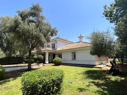 uma grande casa branca com um quintal com árvores em Casa Ciaurriz em Mairena del Aljarafe