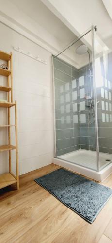 una ducha con puerta de cristal en una habitación con alfombra en LesOyats33 - Maisonnette avec Piscine, en Arès