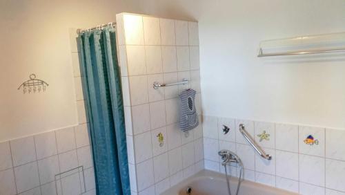 a bathroom with a shower with a blue shower curtain at Ferienwohnung am Storchennest in Kambs