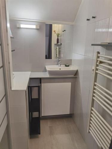 une salle de bain blanche avec un lavabo et un miroir dans l'établissement Maisonnette entière 2 pièces, 30 mn Roissy, 30 mn Disney, à Brégy