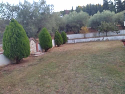 a row of trees in a yard next to a fence at Elaiones house in Thessaloniki