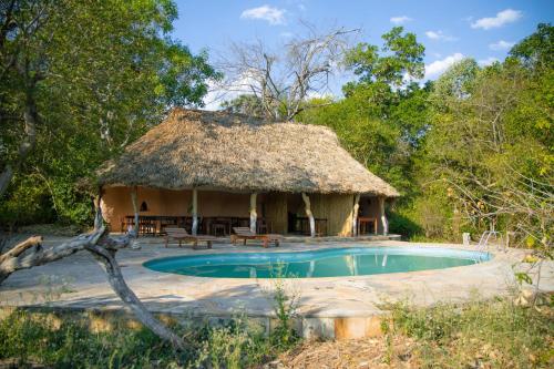 a hut with a swimming pool and a thatch roof at Selous River Camp in Kwangwazi