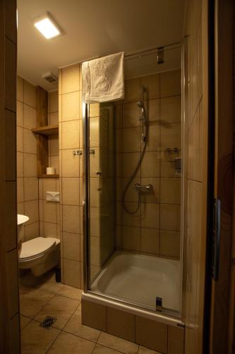 a bathroom with a shower and a toilet at My Tatra Residence in Zakopane