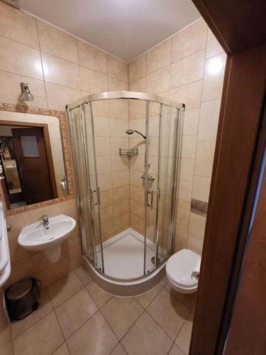 a bathroom with a shower and a toilet and a sink at Hotel Parkowy in Malbork
